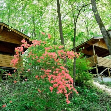 Pica Chichibu Hotel Екстериор снимка