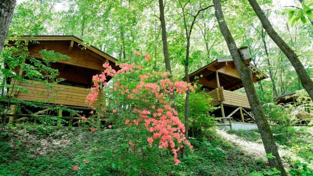 Pica Chichibu Hotel Екстериор снимка